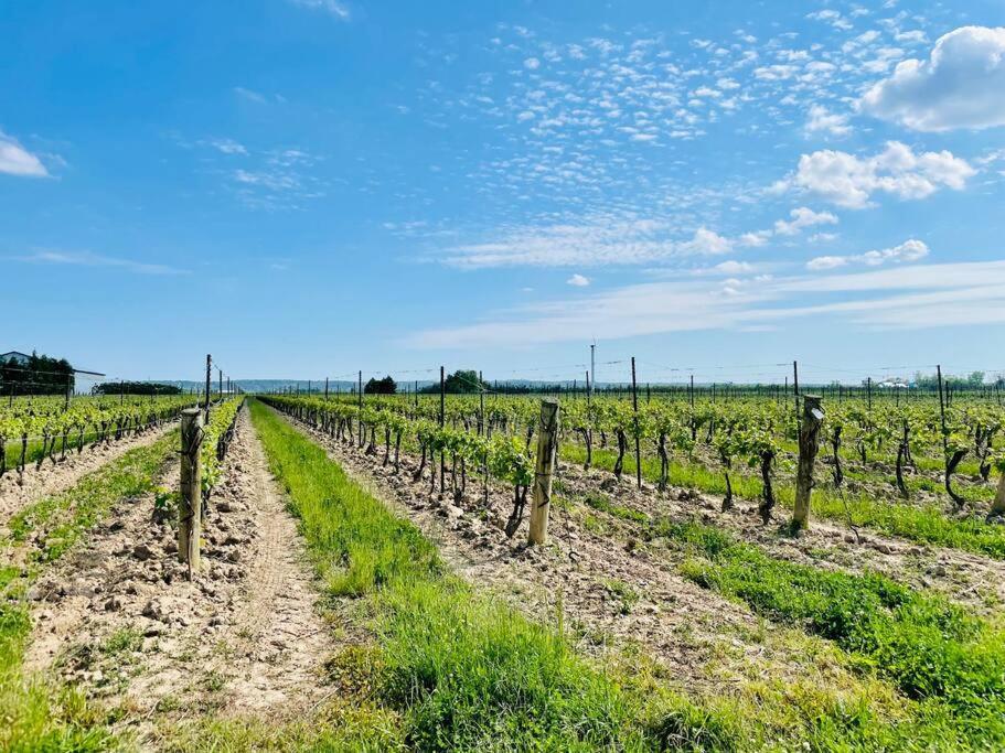 Waterfront Niagara-On-The-Lake Farmhouse On A Vineyard Villa Екстериор снимка